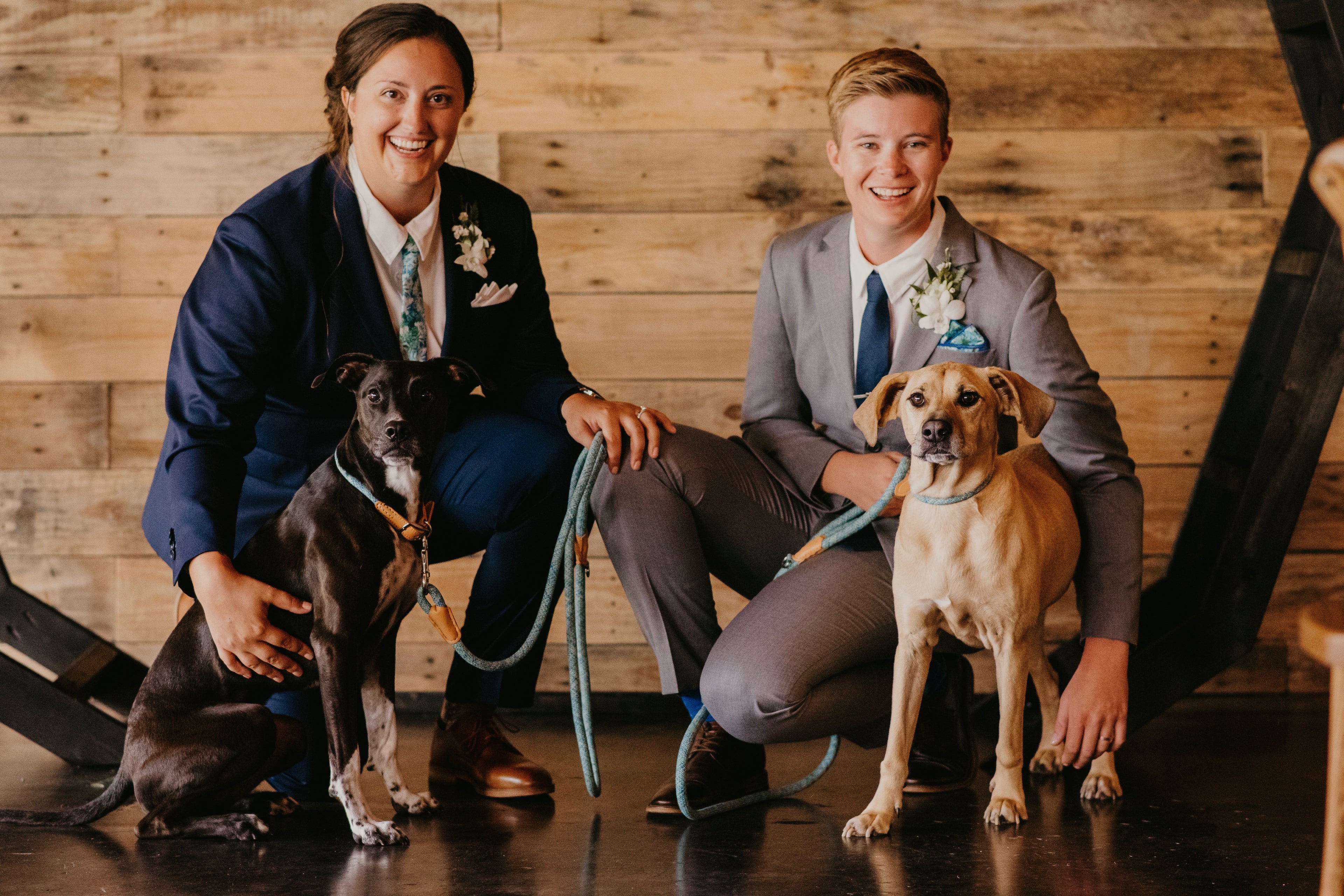 Morgan and Allison crouching in wedding attire with their dogs